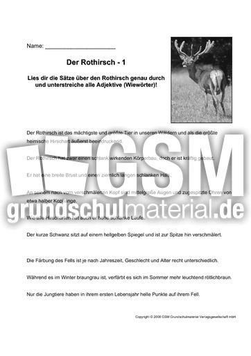 Rothirsch-Adjektive-bestimmen-1.pdf